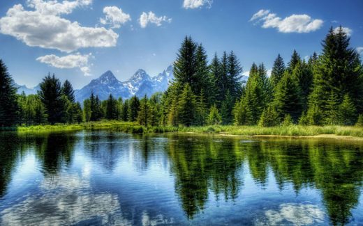 Nachhaltig Reisen, ohne der Umwelt zu schaden: 5 Tipps