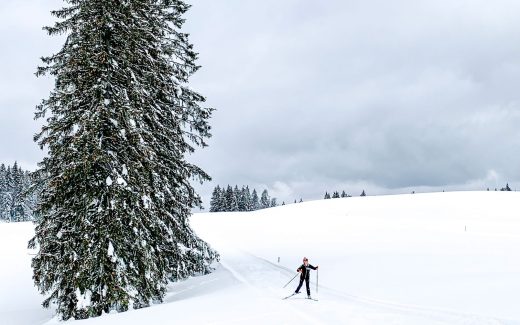 Langlaufen auf der Hemmersuppenalm in Reit im Winkl