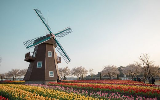 Die 10 besten SehenswÃ¼rdigkeiten in den Niederlanden