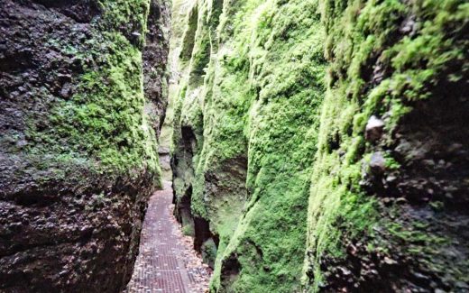Drachenschlucht: Surreale Klamm im ThÃ¼ringer Wald
