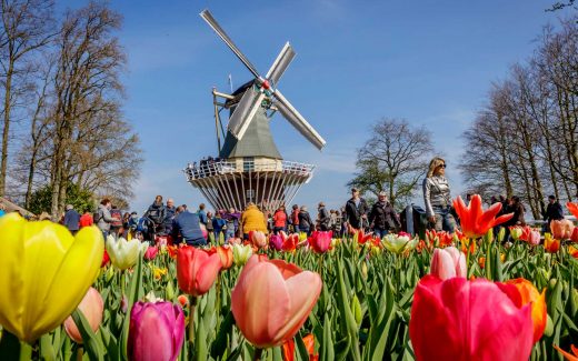 Keukenhof in Holland: Lohnt sich ein Besuch?