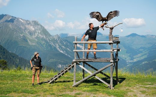 Greifvogelshow in Mayrhofen: Wahre FlugkÃ¼nstler