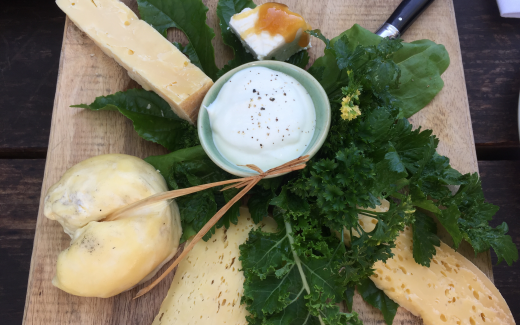 PreisgekrÃ¶nte KÃ¤sefarm an der Garden Route