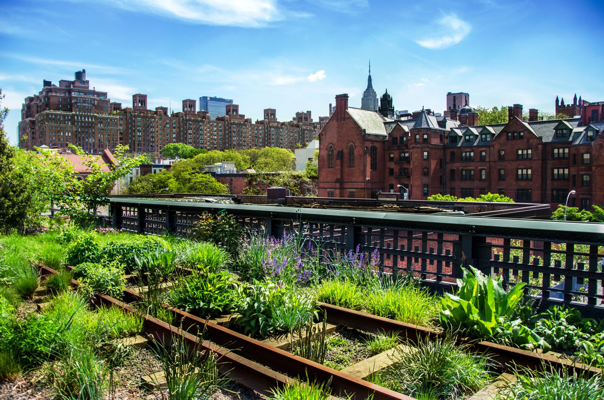 High Line Park in New York: LÃ¤ngste DachbegrÃ¼nung der Welt