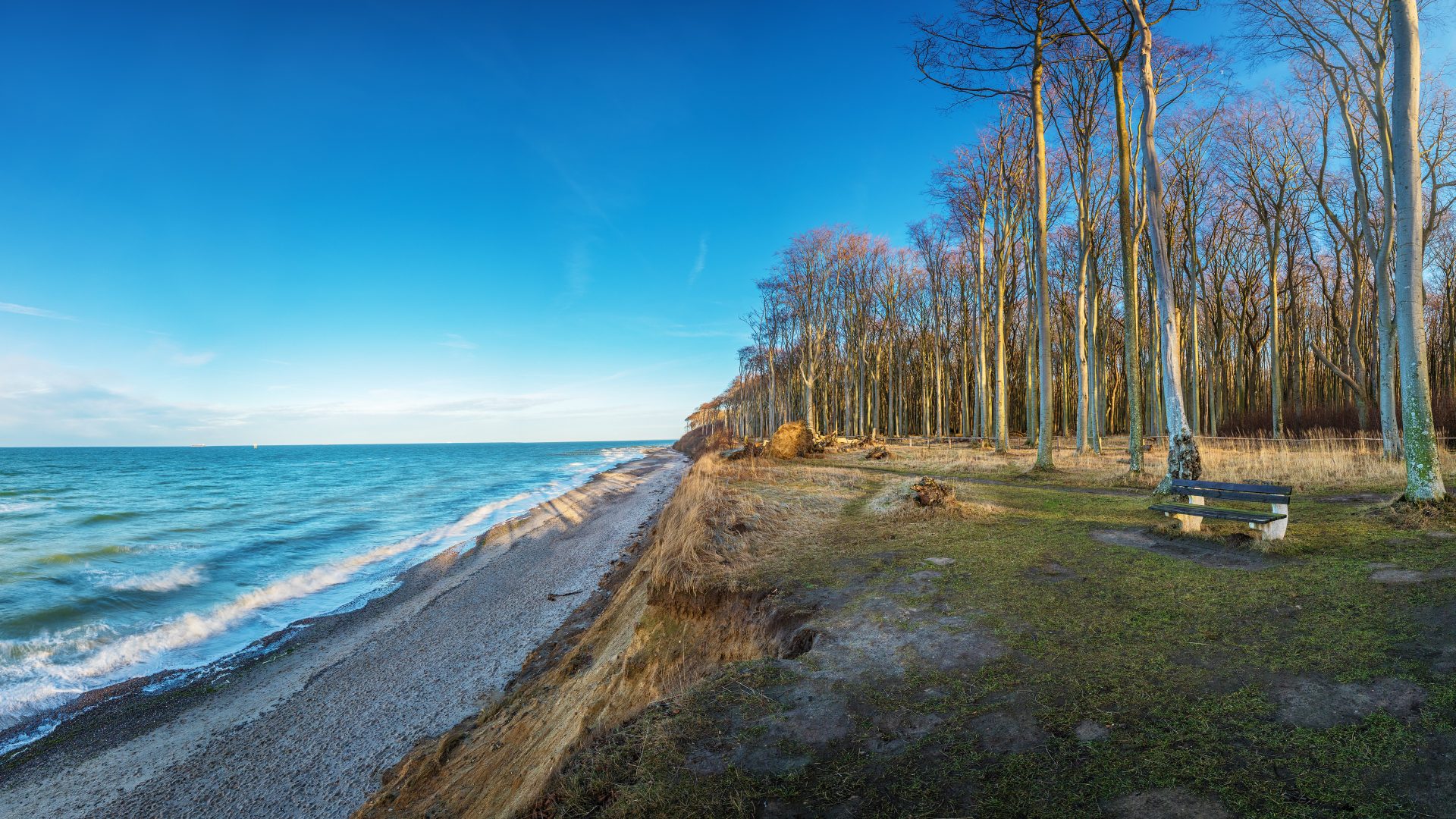 Gespensterwald Nienhagen: Mystischer Wald an der Ostsee