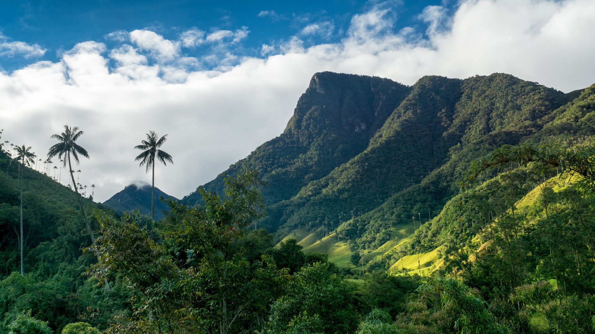 Zona Cafetera in Kolumbien: Kaffee, Palmen und 5.000er