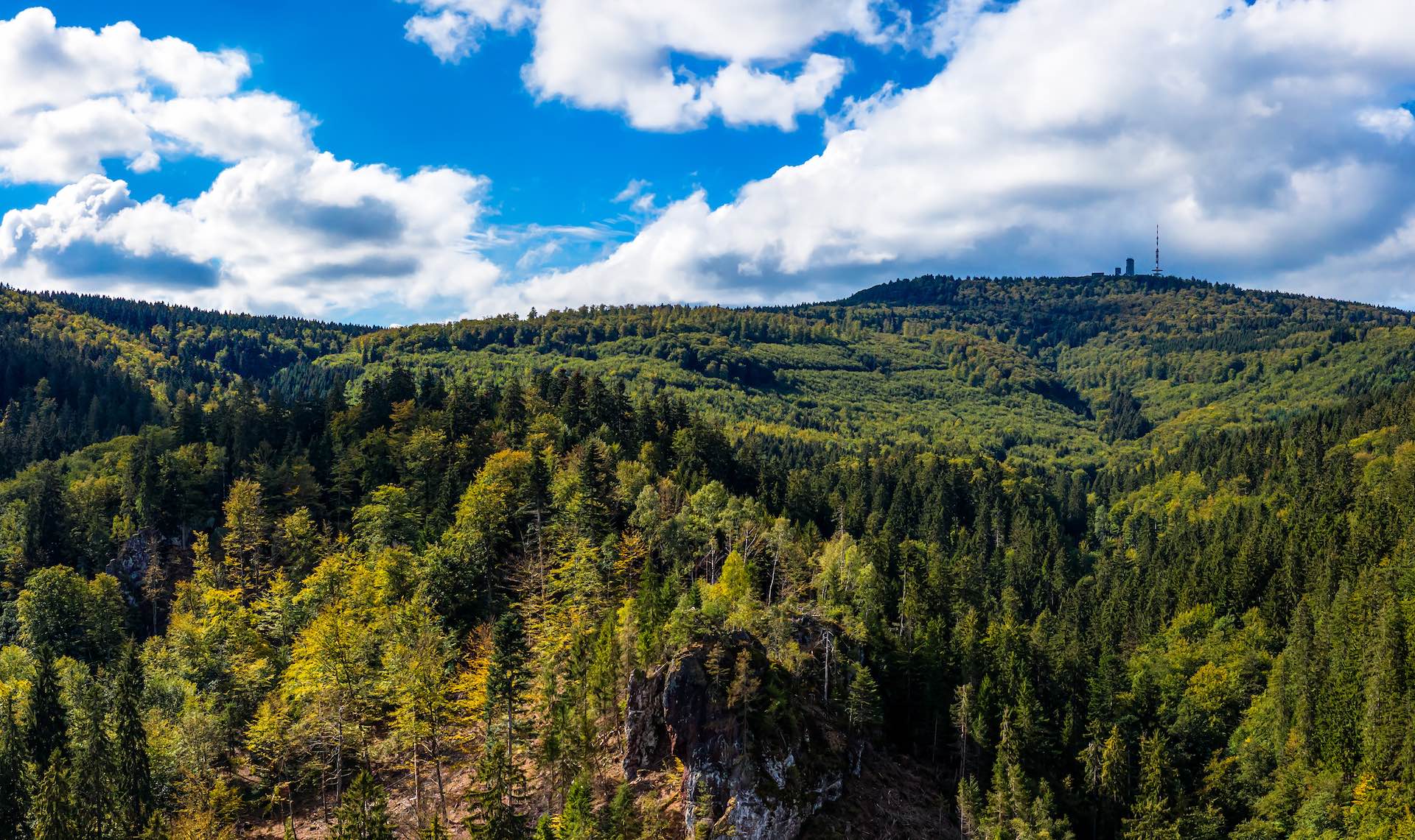 Lauchagrund im ThÃ¼ringer Wald: Verstecktes Paradies