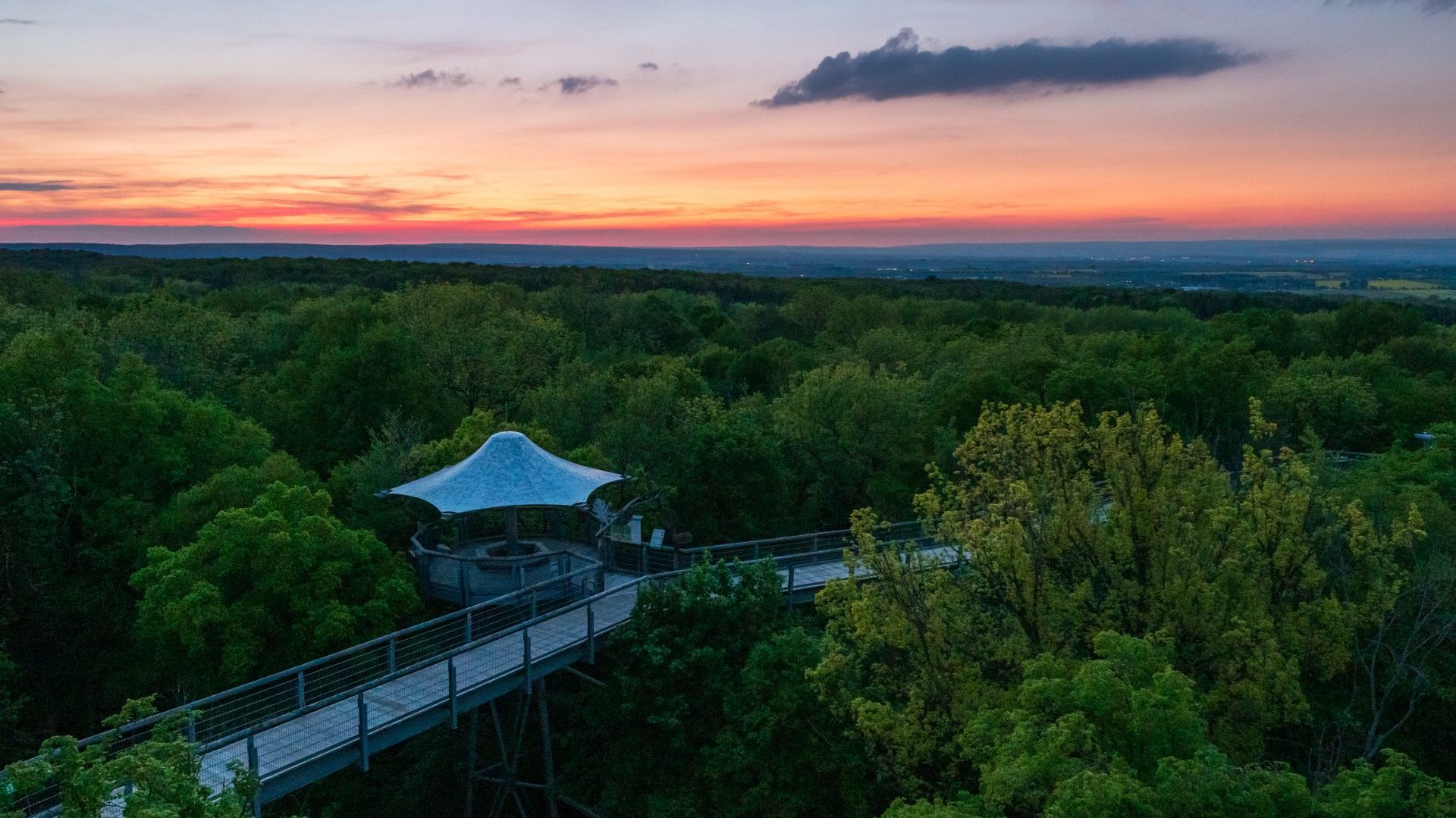 Baumkronenpfad Hainich: Hoch Ã¼ber ThÃ¼ringens Urwald