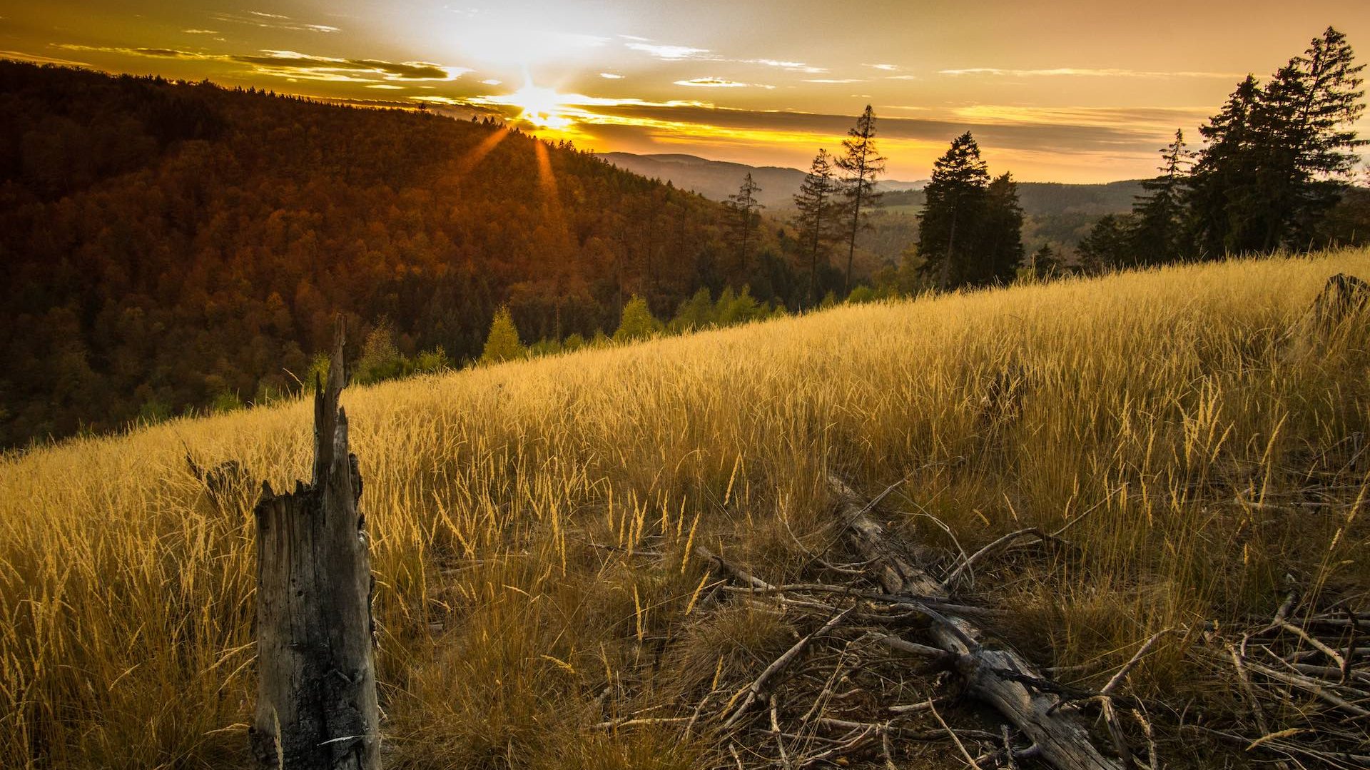 Sauerland: Top 20 Ausflugsziele & SehenswÃ¼rdigkeiten