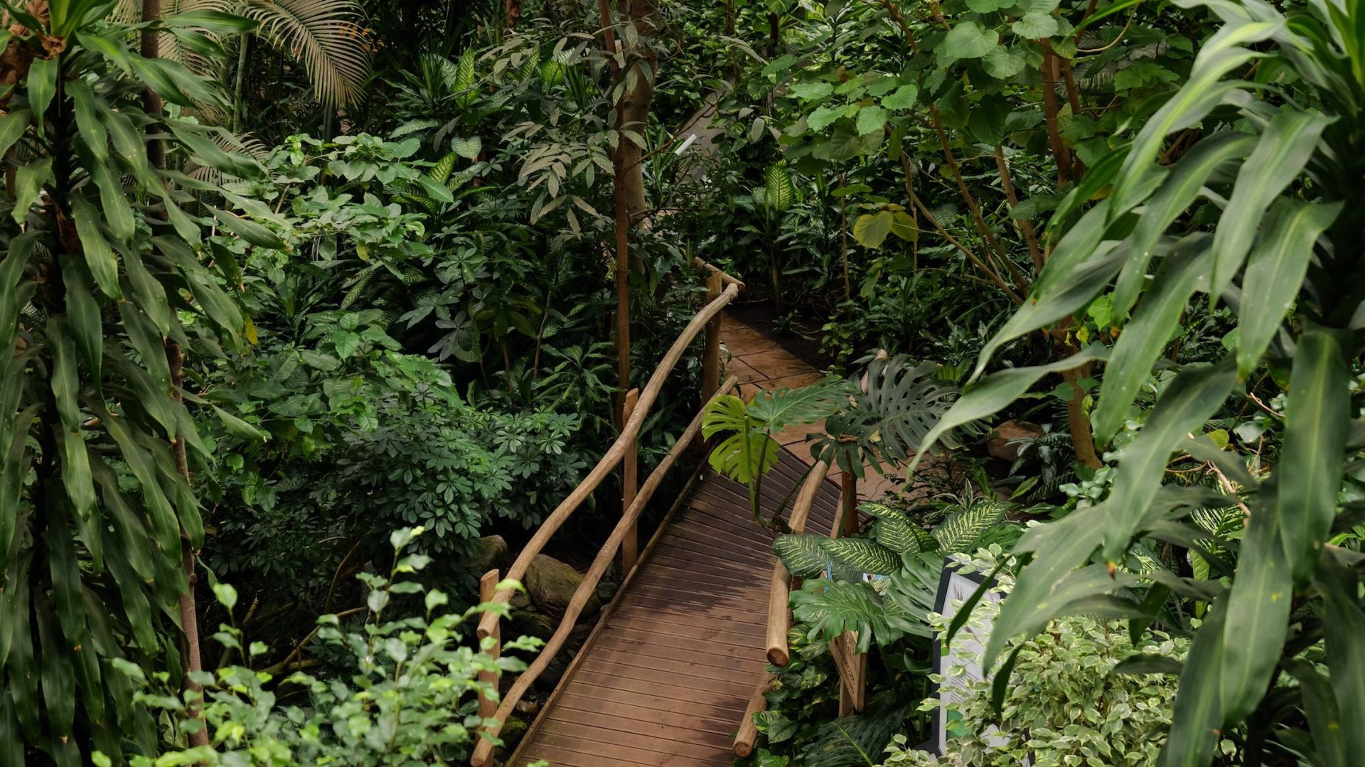 BiosphÃ¤re Potsdam: Dschungelabenteuer in der Stadt