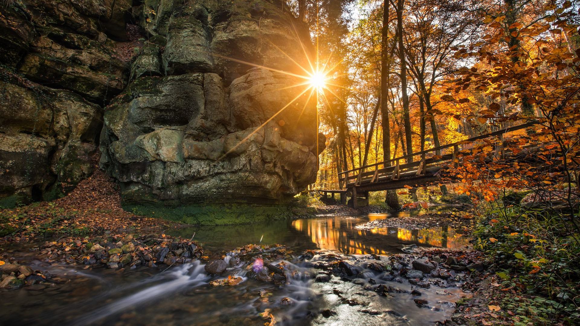 MÃ¼llerthal: Wanderung in der Kleinen Luxemburger Schweiz (B2)