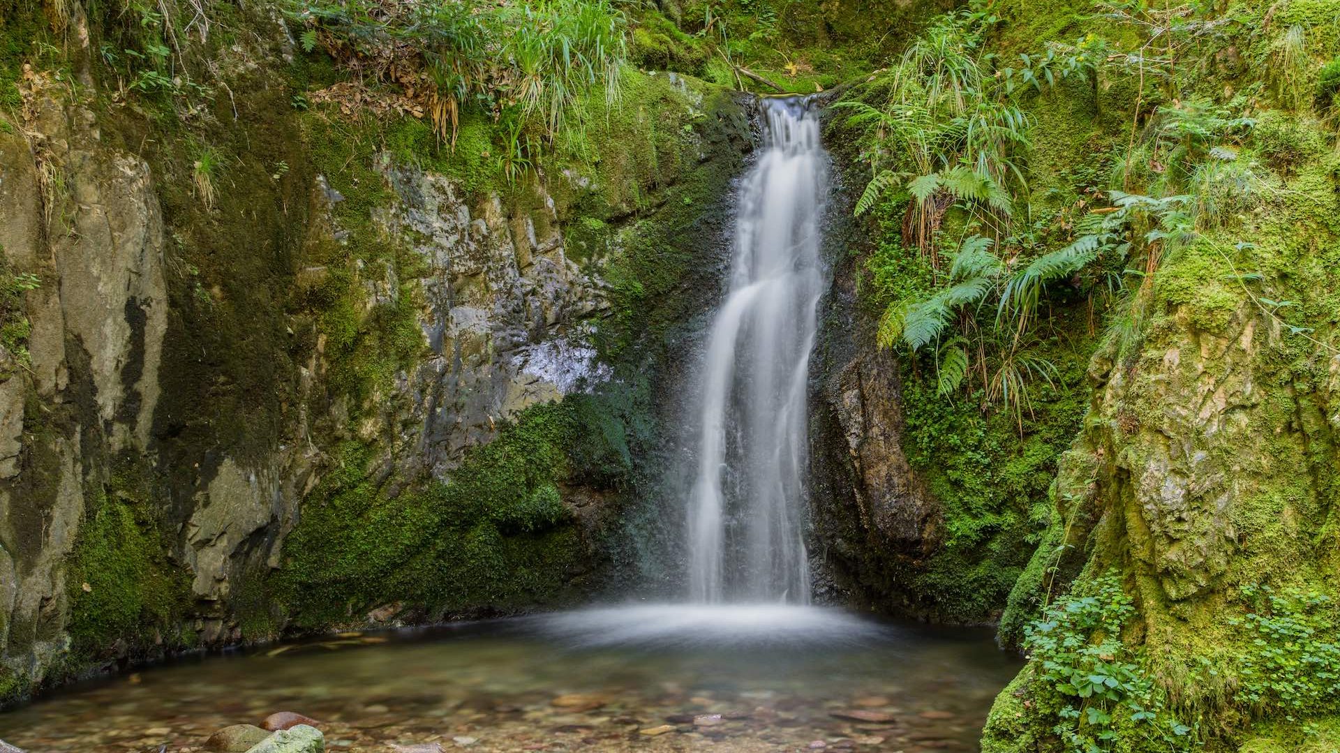 Edelfrauengrab-WasserfÃ¤lle: Nordschwarzwald pur