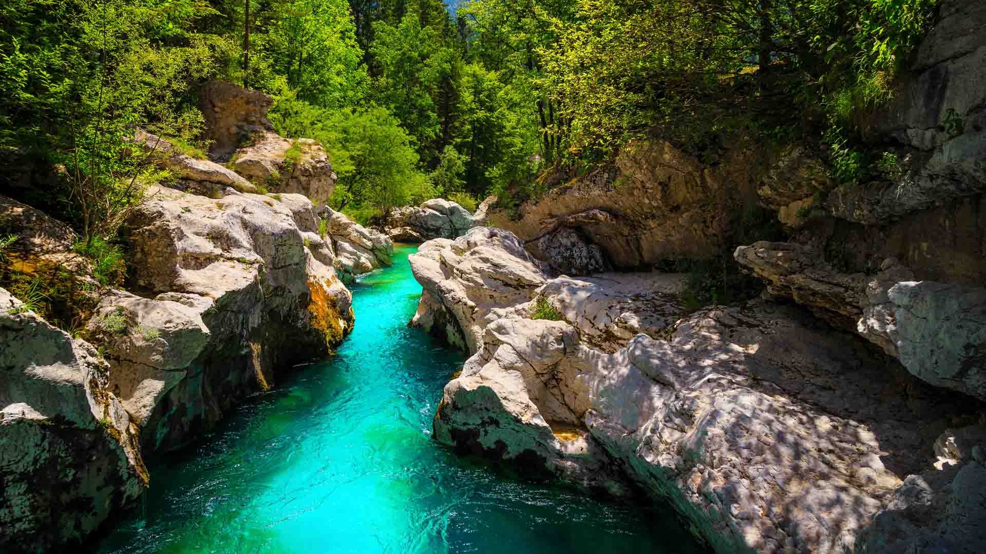 SoÄa-TrÃ¶ge: Wanderung am Smaragdfluss Sloweniens