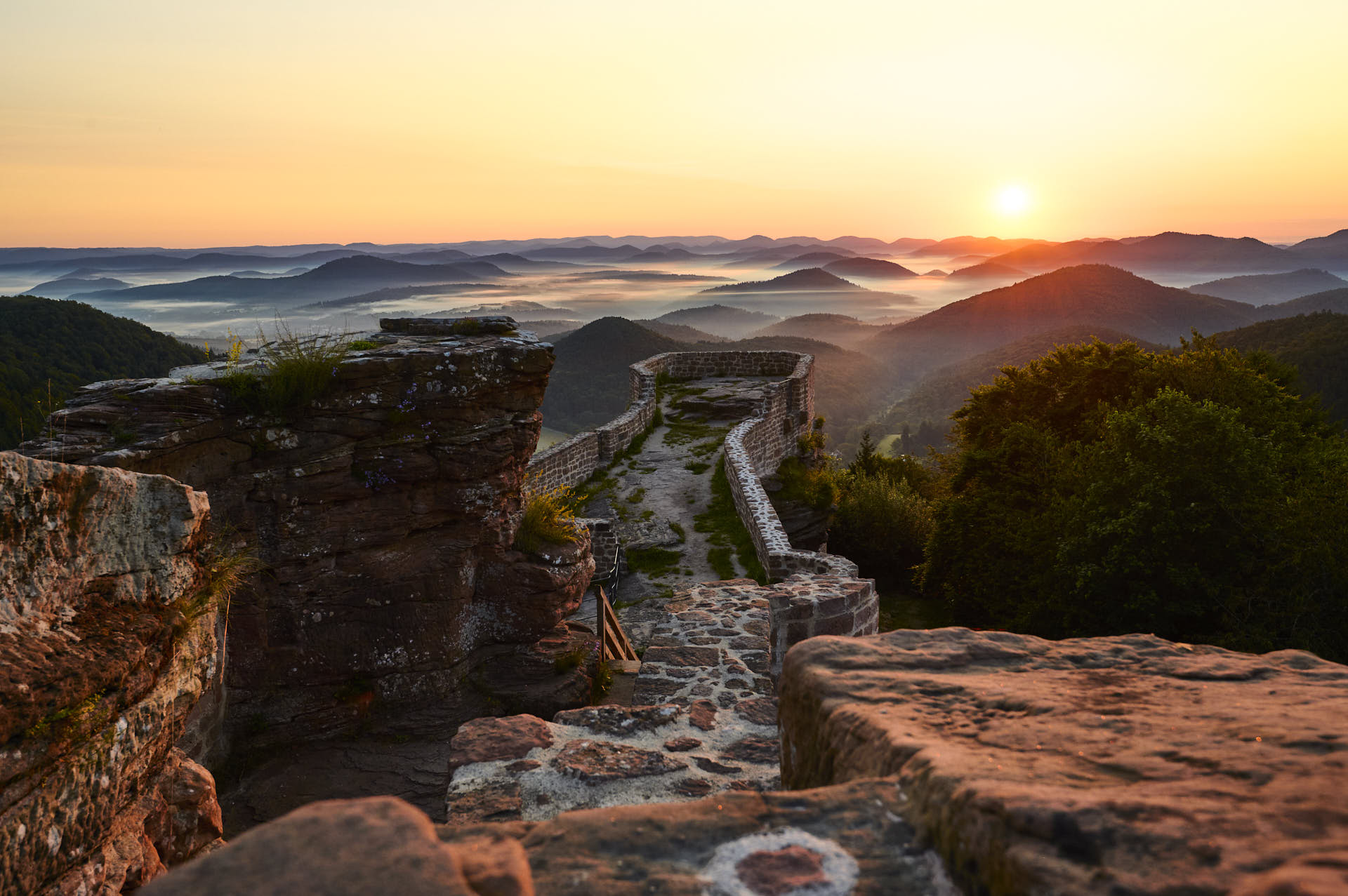 Wegelnburg: HÃ¶chstgelegene Burgruine im PfÃ¤lzerwald