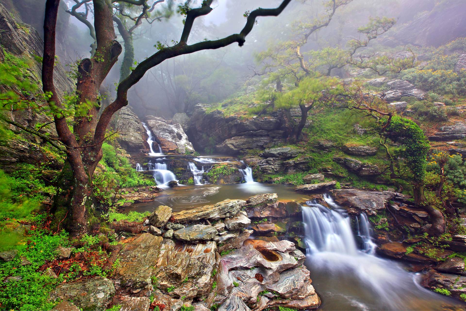 Dimosari-Schlucht: UnberÃ¼hrtes Wanderparadies EubÃ¶as