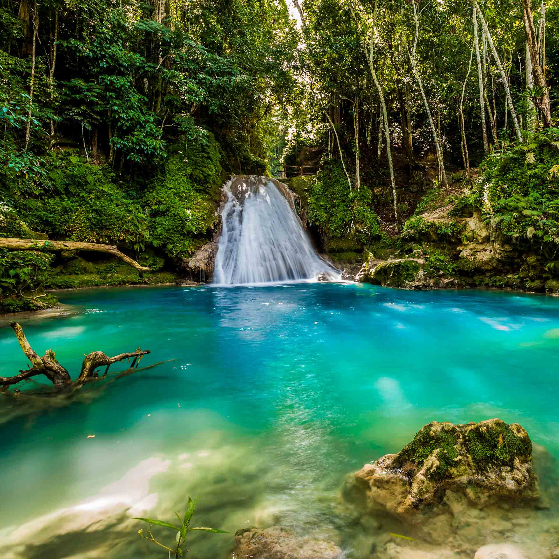 Blue Hole Ocho Rios: Blaues Wunder von Jamaika