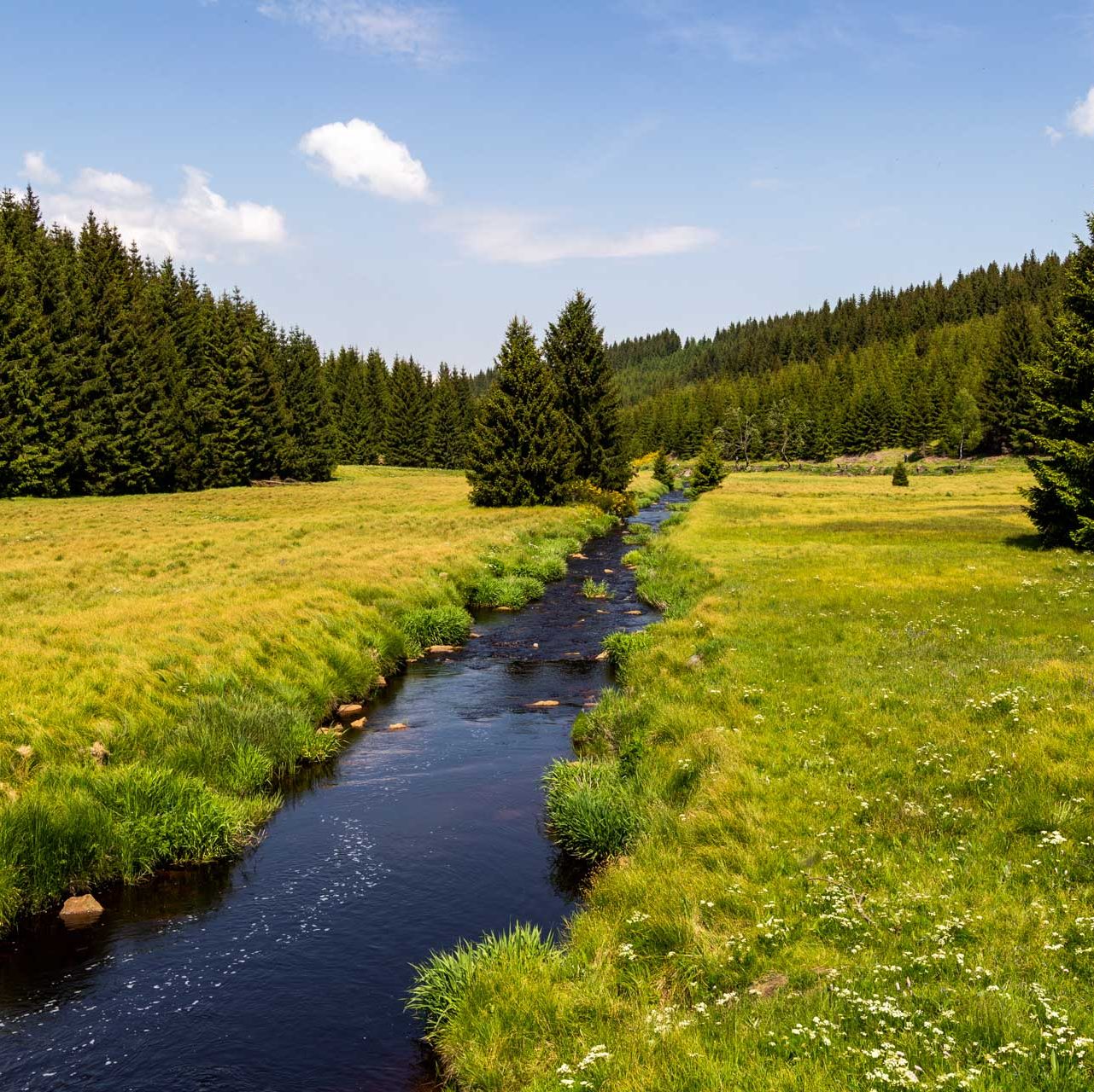 Die 15 besten SehenswÃ¼rdigkeiten im Erzgebirge