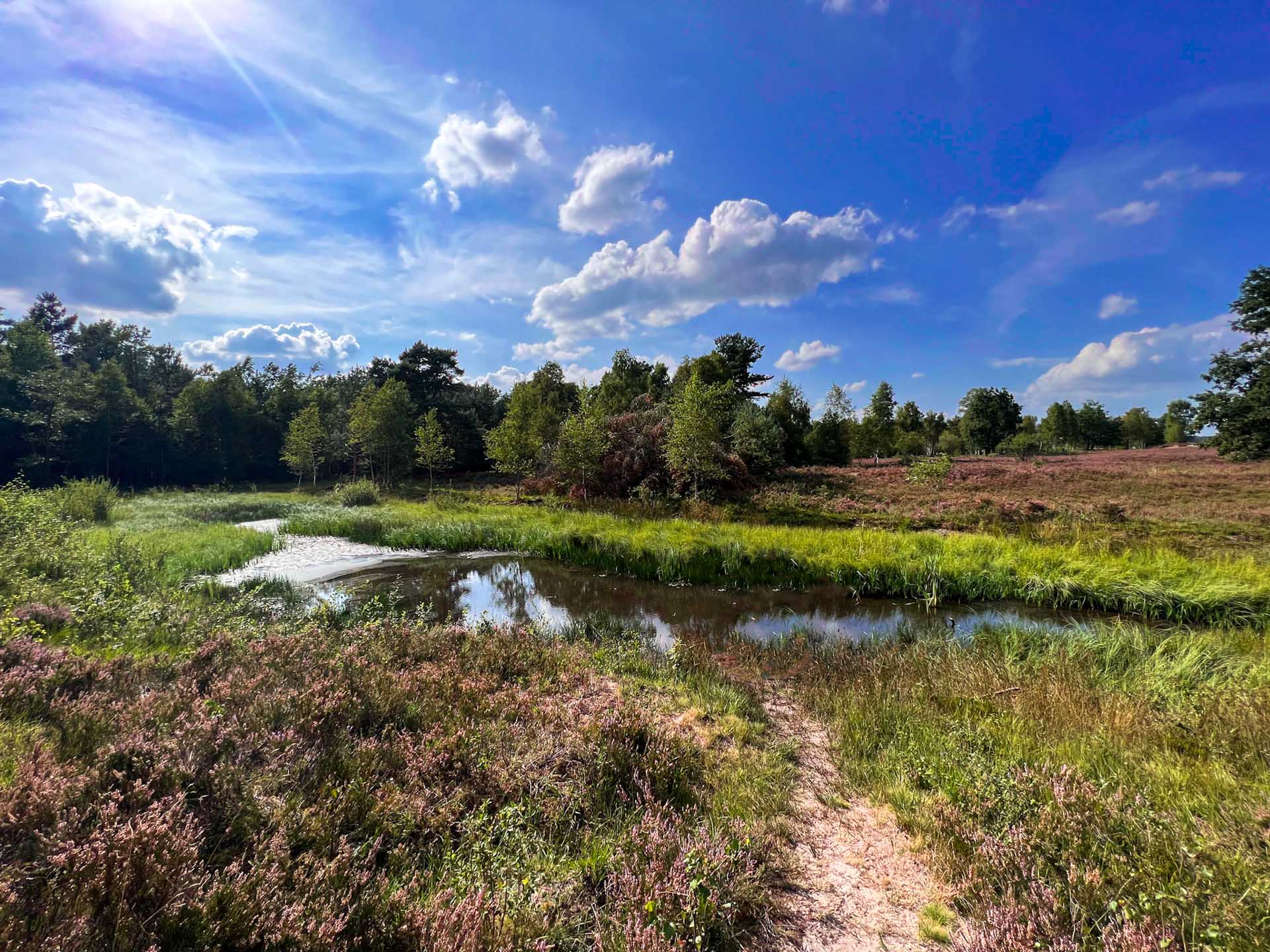 Behringer Heide: Geheimtipp in der LÃ¼neburger Heide