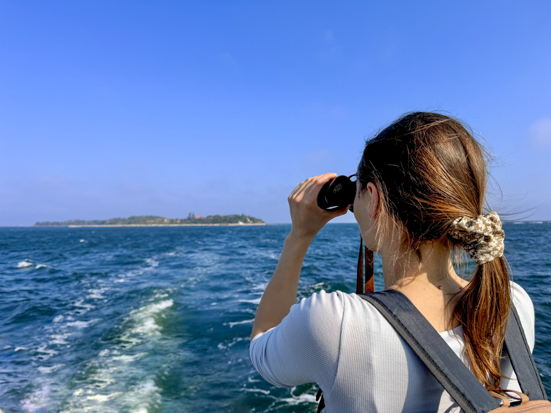 Greifswalder Oie: Helgoland der Ostsee
