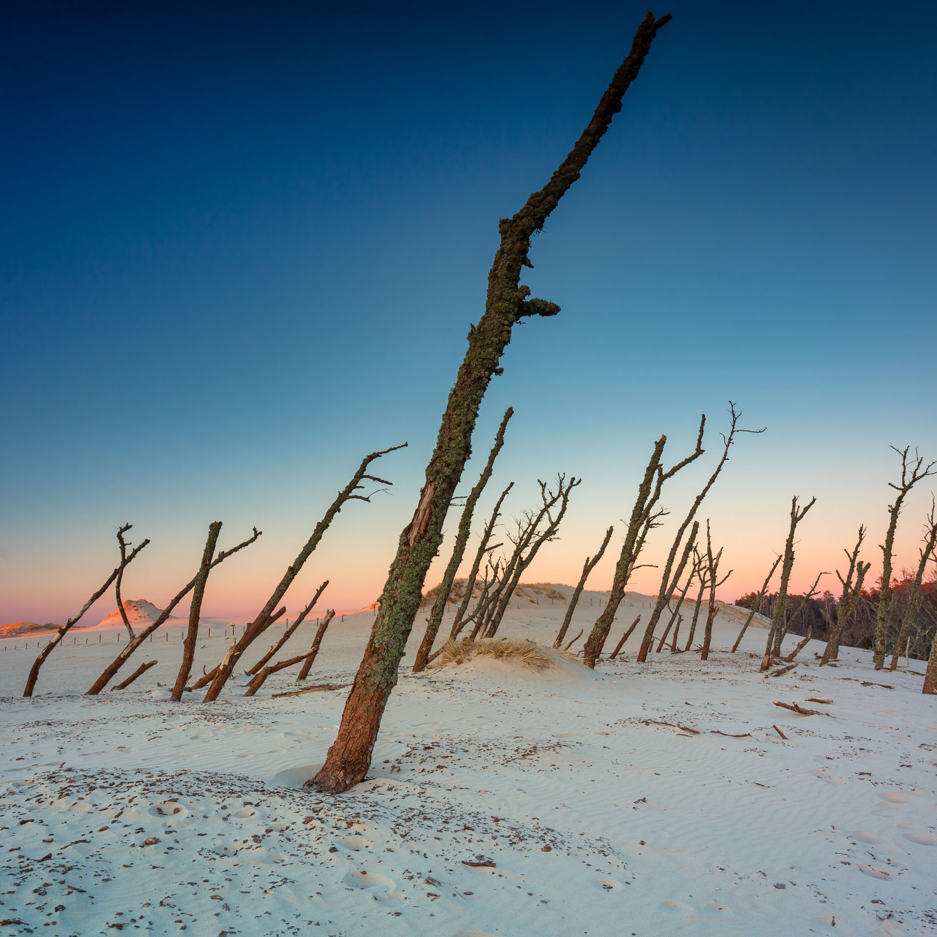 Wydma ÅÄ…cka: Gigantische DÃ¼ne im Slowinski Nationalpark